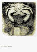 Small Doolittle Crab (7K)